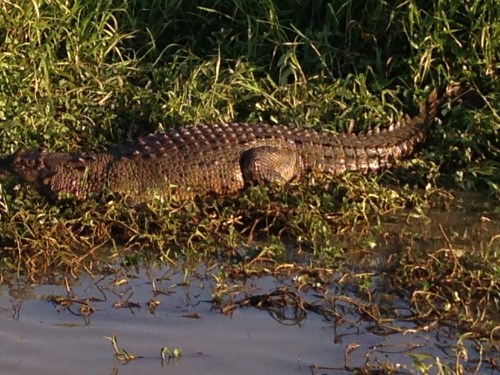 Darwin & Kakadu 2014 314