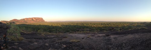 Kakadu