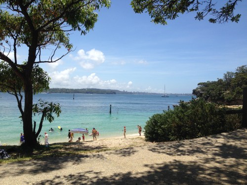 Sydney Harbour from Nielsen Park