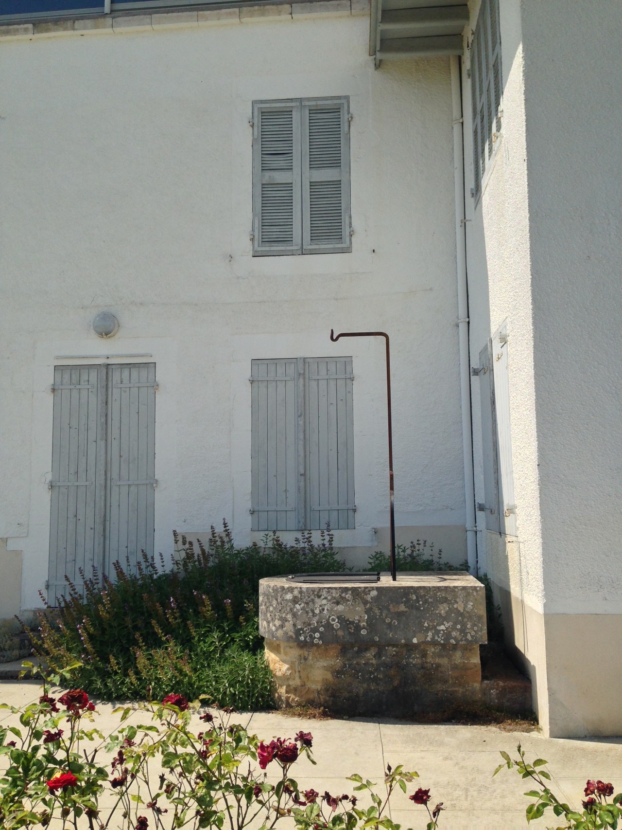 Jean Badovici, mystery man