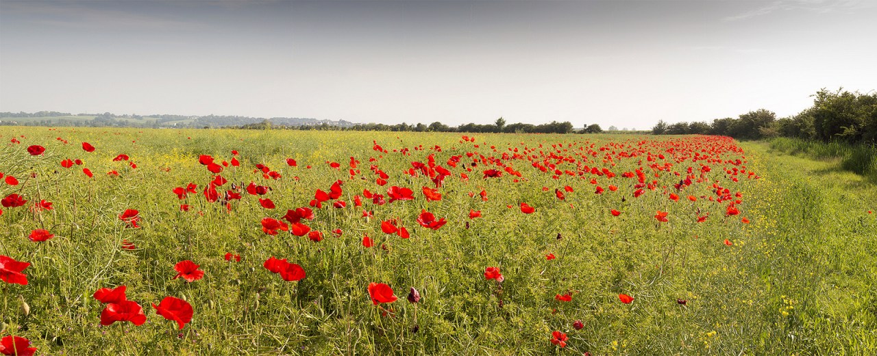 War, what is it good&nbsp;for?