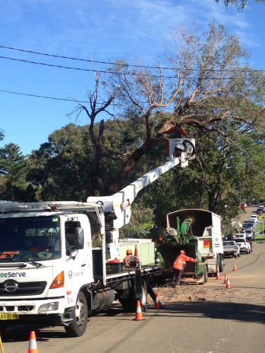 that'll teach nature...