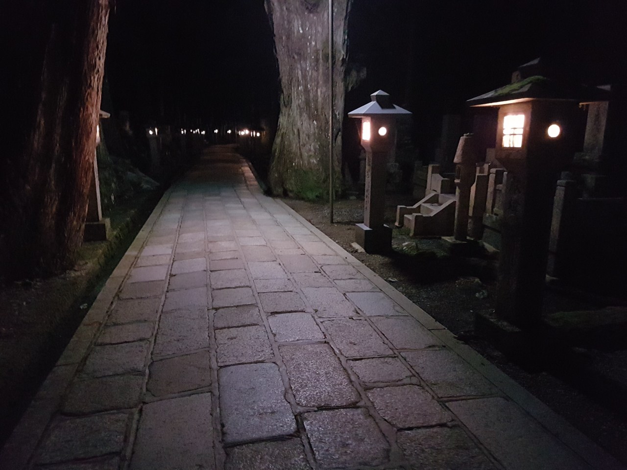 Bowing beautifully in&nbsp;Japan