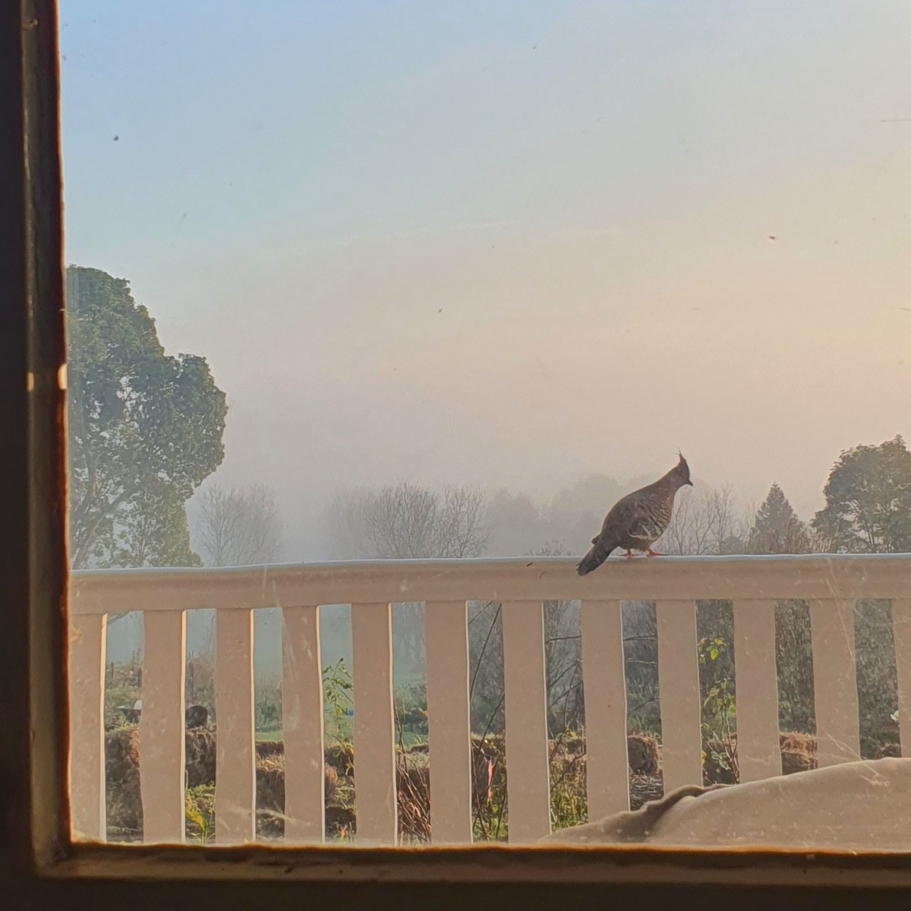 I can see for miles and miles and&nbsp;miles